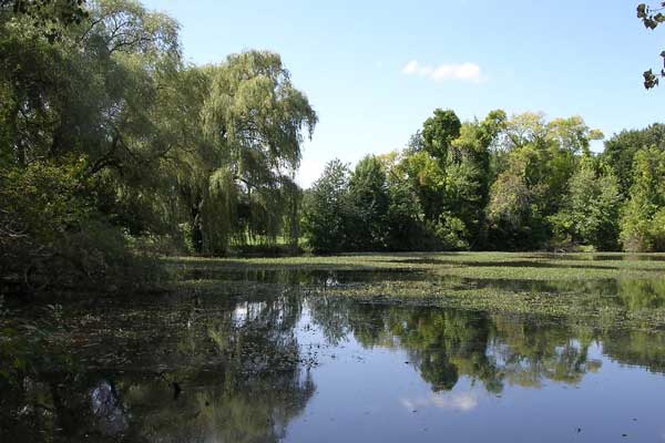 Fresh Pond: Black's Nook