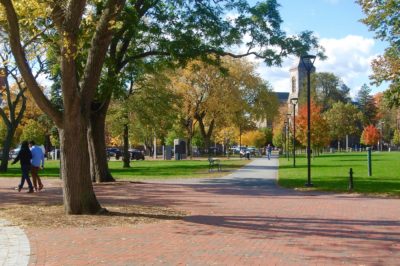 Cambridge Common