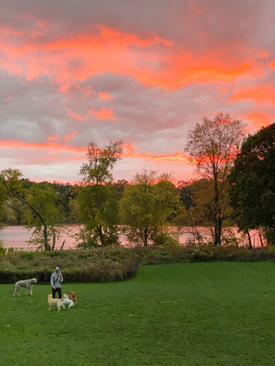 CP&GC work at Fresh Pond