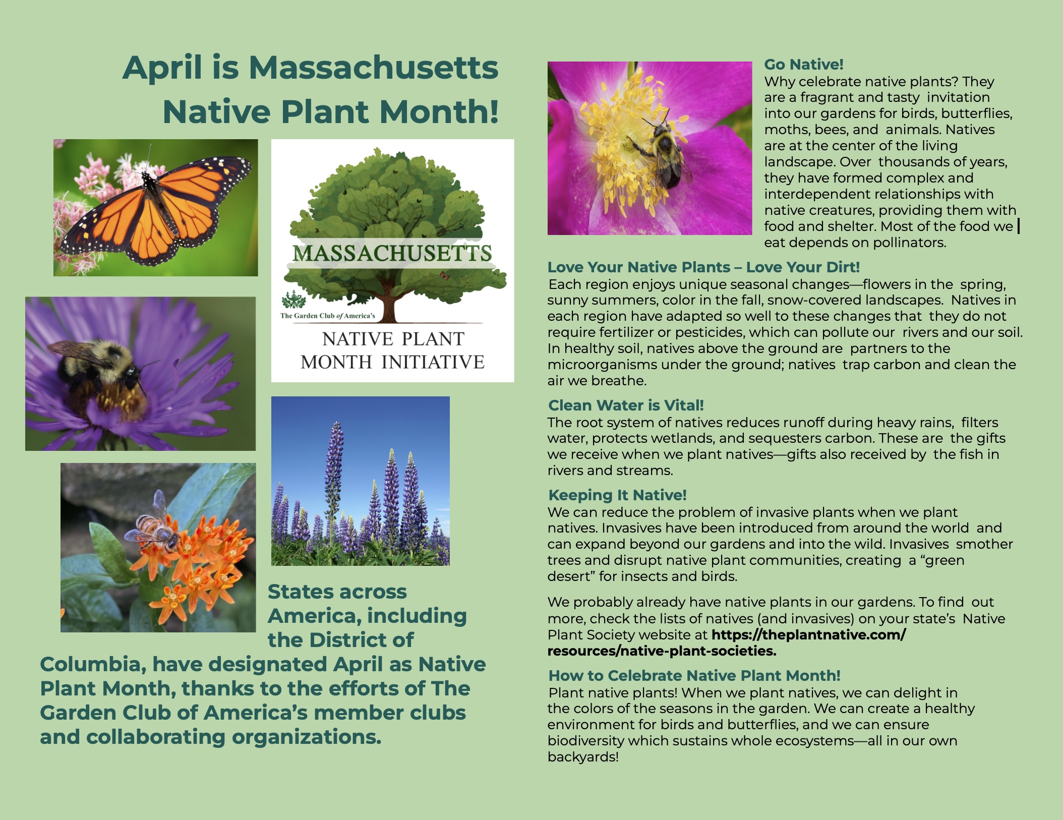Image of the 2024 Native Plant GCA flyer