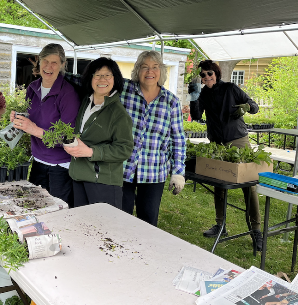 Photo of smiling and laughing CP&GC members wrapping seedlings under the tent at a recent event.