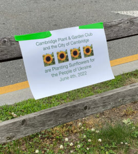 Sign taped to fence post abut the planting of sunflowers for Ukraine