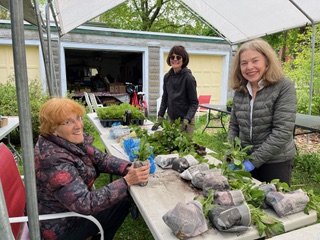 Three people at a table with various plants. The table is outdoors and they're under a tent.